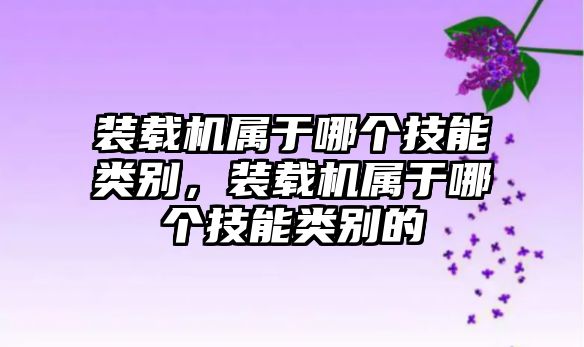 裝載機屬于哪個技能類別，裝載機屬于哪個技能類別的