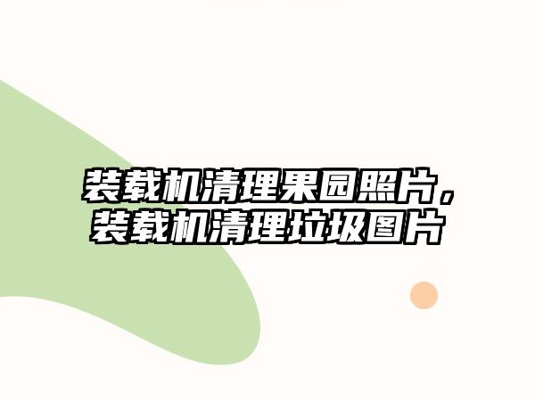 裝載機清理果園照片，裝載機清理垃圾圖片