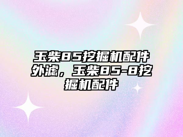 玉柴85挖掘機配件外濾，玉柴85-8挖掘機配件