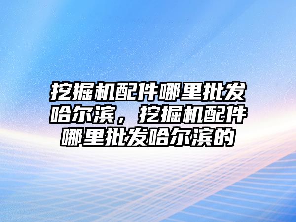 挖掘機配件哪里批發哈爾濱，挖掘機配件哪里批發哈爾濱的