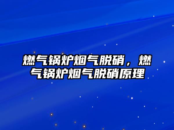 燃氣鍋爐煙氣脫硝，燃氣鍋爐煙氣脫硝原理