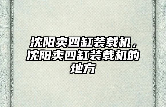 沈陽賣四缸裝載機，沈陽賣四缸裝載機的地方