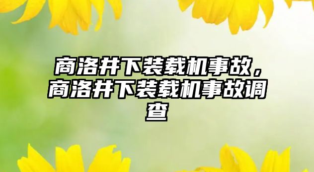 商洛井下裝載機事故，商洛井下裝載機事故調查