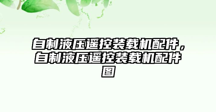 自制液壓遙控裝載機配件，自制液壓遙控裝載機配件圖