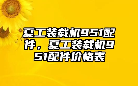 夏工裝載機951配件，夏工裝載機951配件價格表