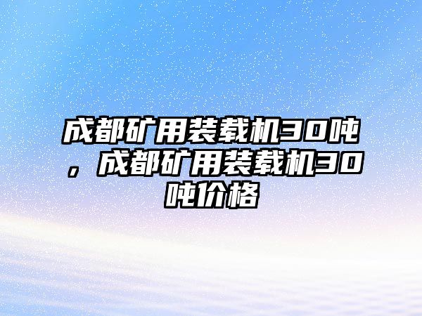 成都礦用裝載機(jī)30噸，成都礦用裝載機(jī)30噸價(jià)格