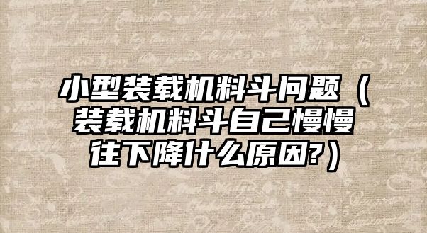 小型裝載機料斗問題（裝載機料斗自己慢慢往下降什么原因?）