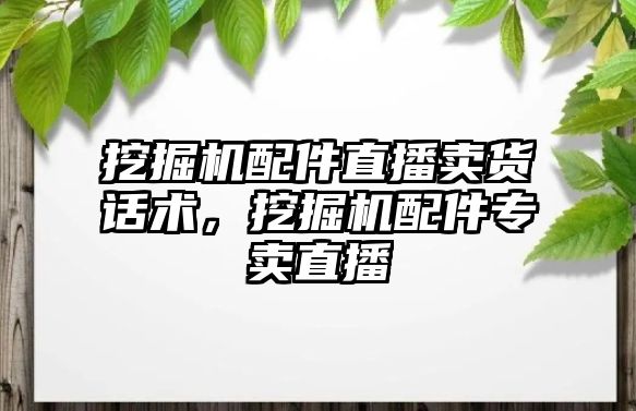 挖掘機配件直播賣貨話術，挖掘機配件專賣直播