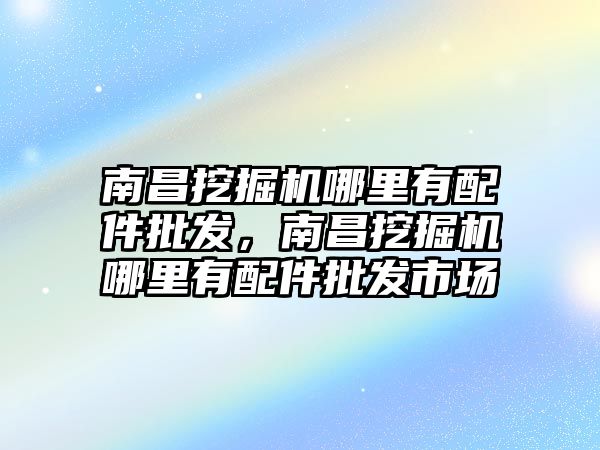 南昌挖掘機哪里有配件批發，南昌挖掘機哪里有配件批發市場