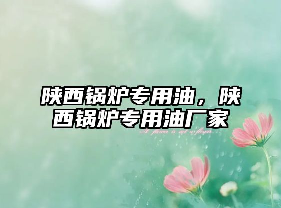 陜西鍋爐專用油，陜西鍋爐專用油廠家