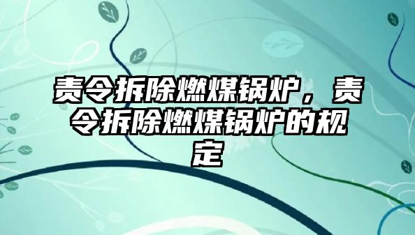 責令拆除燃煤鍋爐，責令拆除燃煤鍋爐的規定