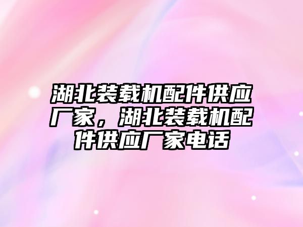 湖北裝載機配件供應(yīng)廠家，湖北裝載機配件供應(yīng)廠家電話