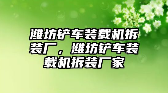 濰坊鏟車裝載機拆裝廠，濰坊鏟車裝載機拆裝廠家