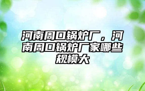 河南周口鍋爐廠，河南周口鍋爐廠家哪些規模大