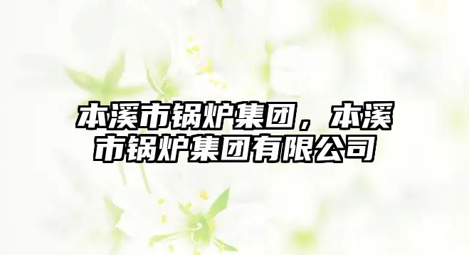 本溪市鍋爐集團，本溪市鍋爐集團有限公司