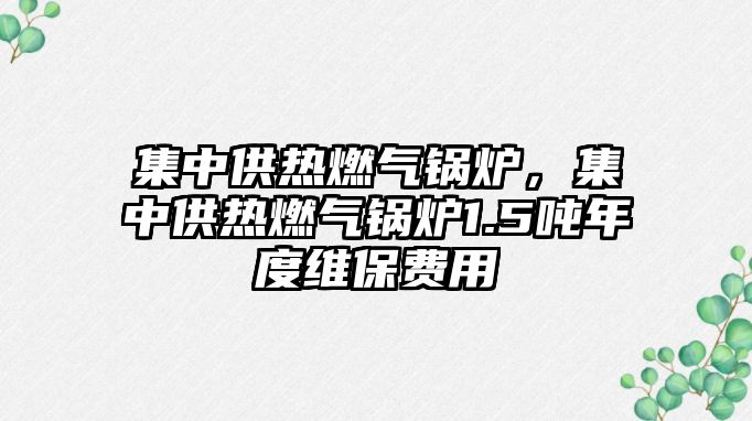 集中供熱燃氣鍋爐，集中供熱燃氣鍋爐1.5噸年度維保費用