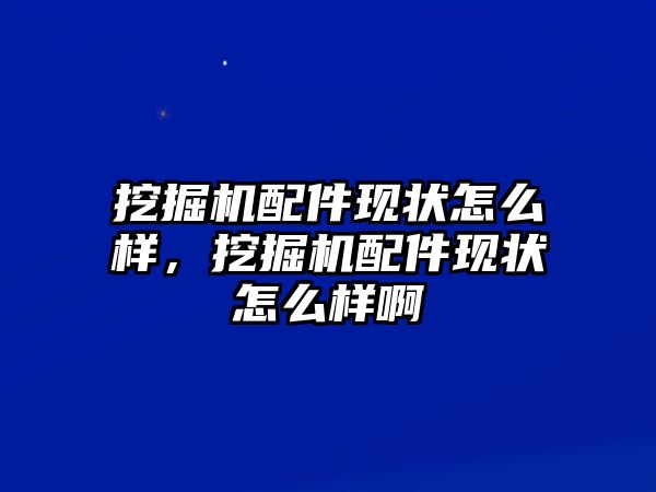 挖掘機配件現狀怎么樣，挖掘機配件現狀怎么樣啊