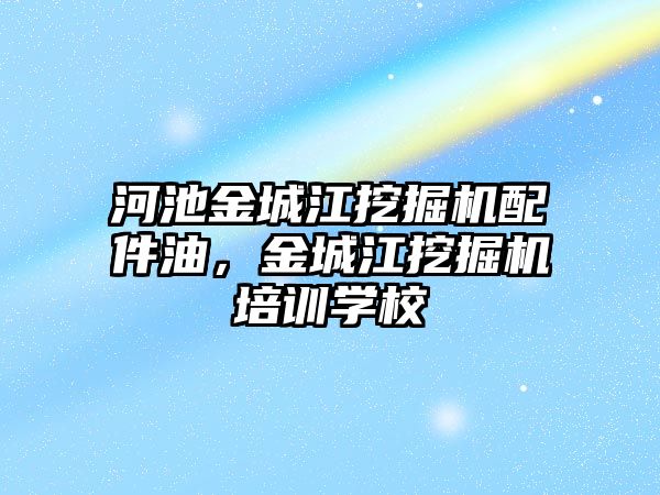 河池金城江挖掘機配件油，金城江挖掘機培訓學校