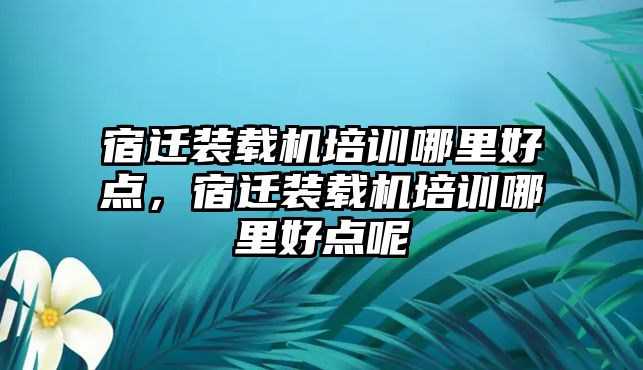 宿遷裝載機培訓(xùn)哪里好點，宿遷裝載機培訓(xùn)哪里好點呢