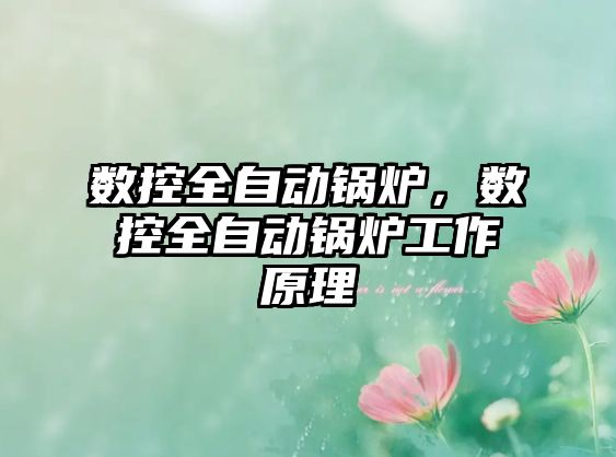 數控全自動鍋爐，數控全自動鍋爐工作原理