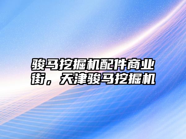 駿馬挖掘機配件商業街，天津駿馬挖掘機