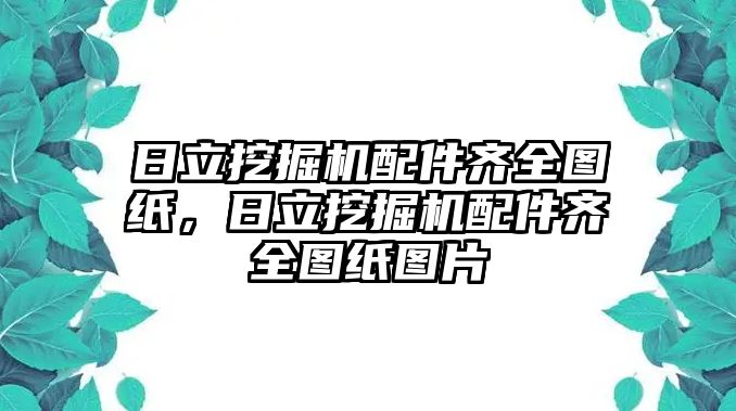 日立挖掘機配件齊全圖紙，日立挖掘機配件齊全圖紙圖片