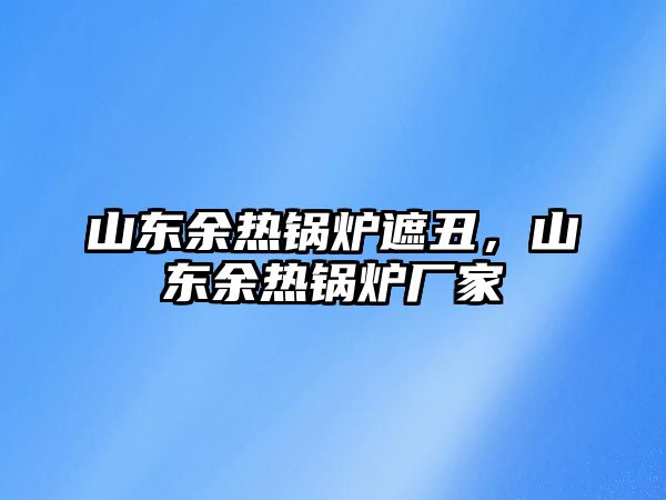 山東余熱鍋爐遮丑，山東余熱鍋爐廠家