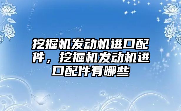 挖掘機發動機進口配件，挖掘機發動機進口配件有哪些