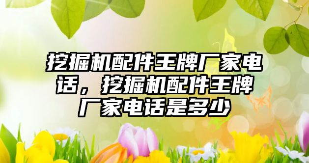 挖掘機配件王牌廠家電話，挖掘機配件王牌廠家電話是多少