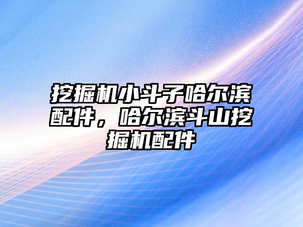 挖掘機(jī)小斗子哈爾濱配件，哈爾濱斗山挖掘機(jī)配件