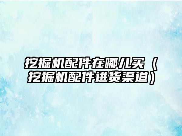 挖掘機配件在哪兒買（挖掘機配件進貨渠道）