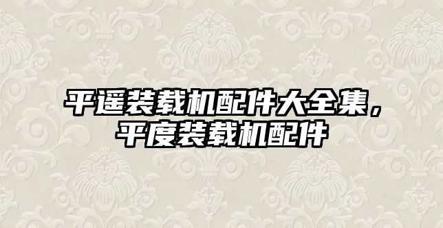 平遙裝載機配件大全集，平度裝載機配件