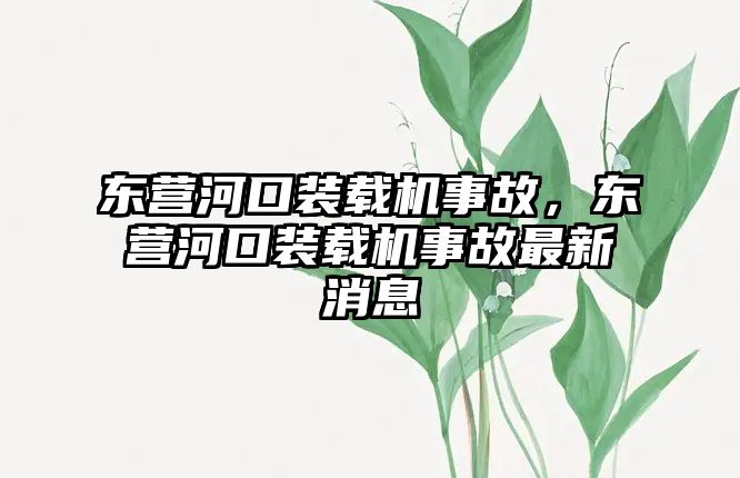 東營河口裝載機事故，東營河口裝載機事故最新消息