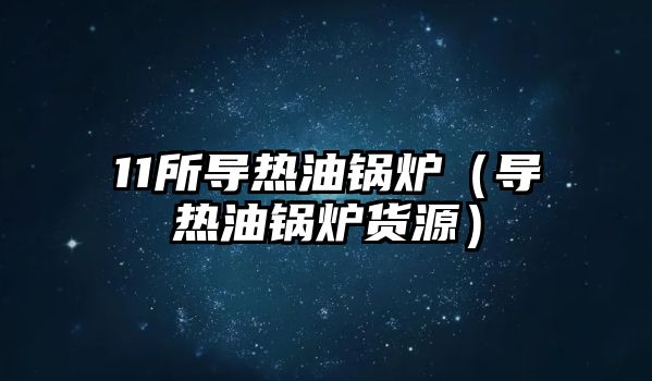 11所導熱油鍋爐（導熱油鍋爐貨源）