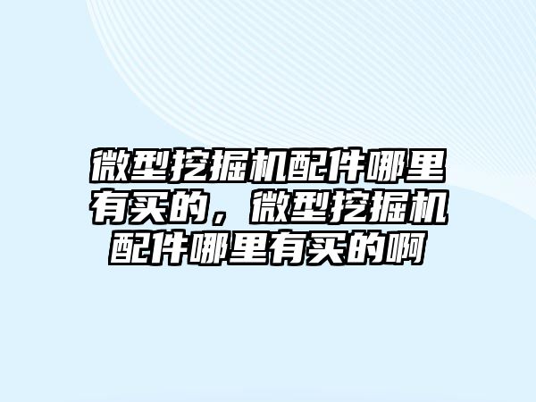 微型挖掘機配件哪里有買的，微型挖掘機配件哪里有買的啊