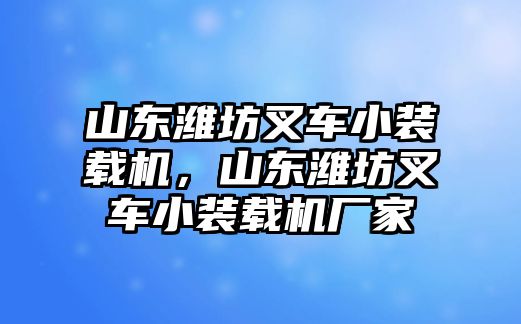 山東濰坊叉車小裝載機(jī)，山東濰坊叉車小裝載機(jī)廠家