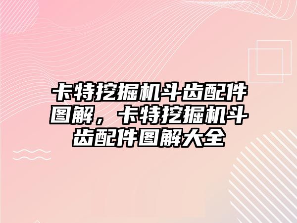 卡特挖掘機(jī)斗齒配件圖解，卡特挖掘機(jī)斗齒配件圖解大全