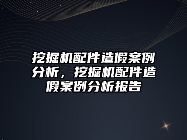 挖掘機配件造假案例分析，挖掘機配件造假案例分析報告