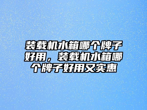 裝載機(jī)水箱哪個(gè)牌子好用，裝載機(jī)水箱哪個(gè)牌子好用又實(shí)惠