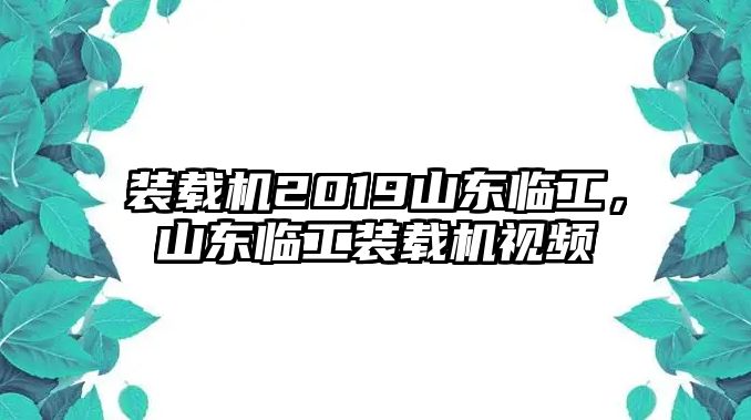 裝載機(jī)2019山東臨工，山東臨工裝載機(jī)視頻