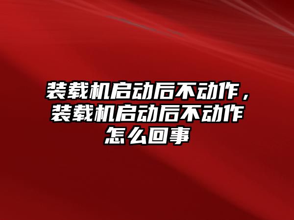 裝載機啟動后不動作，裝載機啟動后不動作怎么回事