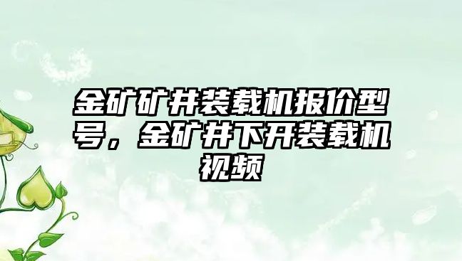 金礦礦井裝載機(jī)報(bào)價(jià)型號(hào)，金礦井下開(kāi)裝載機(jī)視頻