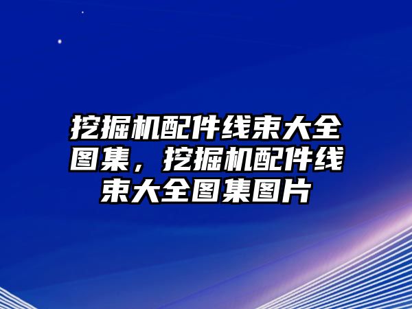 挖掘機配件線束大全圖集，挖掘機配件線束大全圖集圖片