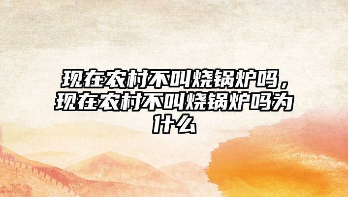 現(xiàn)在農(nóng)村不叫燒鍋爐嗎，現(xiàn)在農(nóng)村不叫燒鍋爐嗎為什么