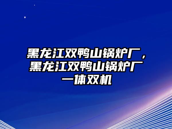 黑龍江雙鴨山鍋爐廠，黑龍江雙鴨山鍋爐廠一體雙機