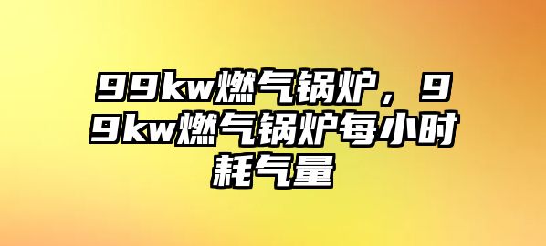 99kw燃氣鍋爐，99kw燃氣鍋爐每小時耗氣量