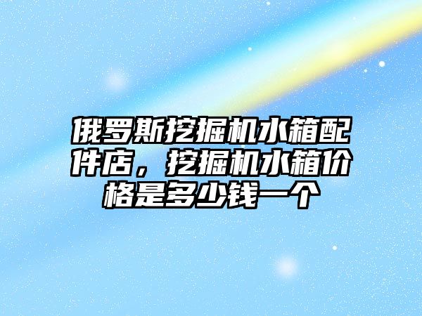 俄羅斯挖掘機水箱配件店，挖掘機水箱價格是多少錢一個