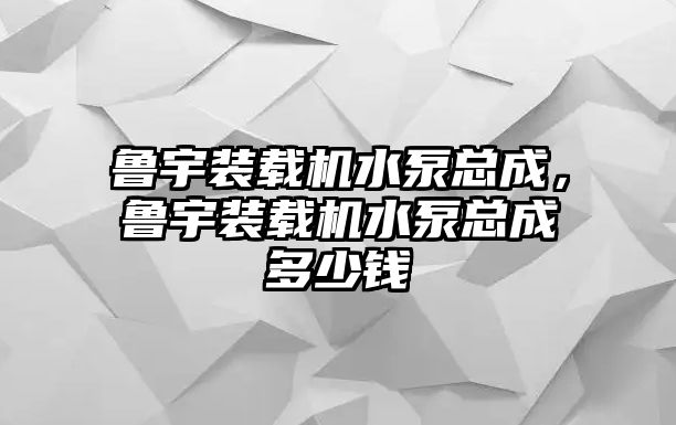 魯宇裝載機水泵總成，魯宇裝載機水泵總成多少錢