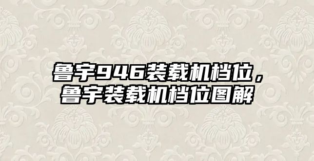 魯宇946裝載機檔位，魯宇裝載機檔位圖解