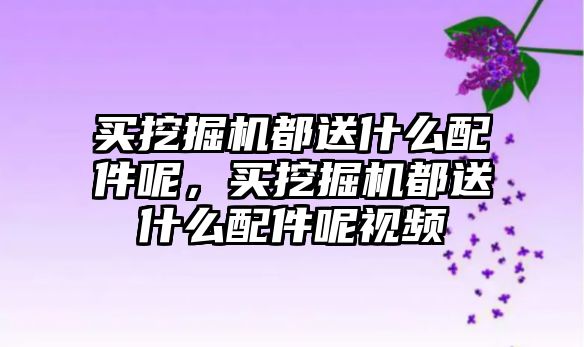 買挖掘機都送什么配件呢，買挖掘機都送什么配件呢視頻